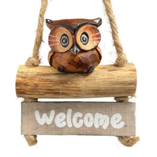 Painted owl 'welcome' mobile