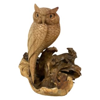 BUY 2 GET 1 FREE! Owl on tree root