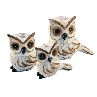 Family of three cartoon owls - long tail feathers