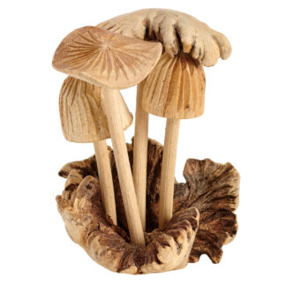 Four mushrooms - parasite caps on parasite base