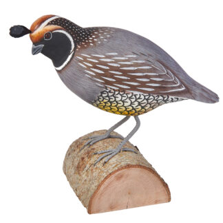 Californian Quail