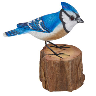 Blue jay