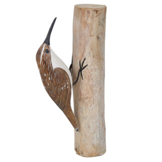 Treecreeper - pecking