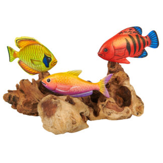 Three painted tropical fish on root