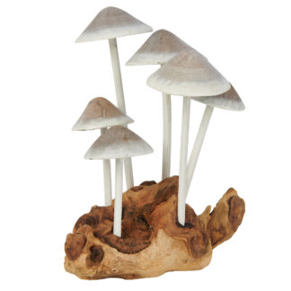 Six painted triangular mushrooms on root