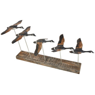 Five Canadian Geese in flight