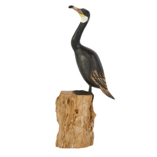 Cormorant