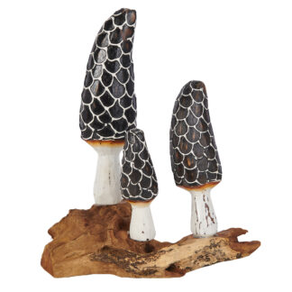 Three black and white painted mushrooms on root