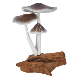 Two painted flat top and one triangular top mushrooms on root