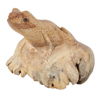Parasite wood frog carving