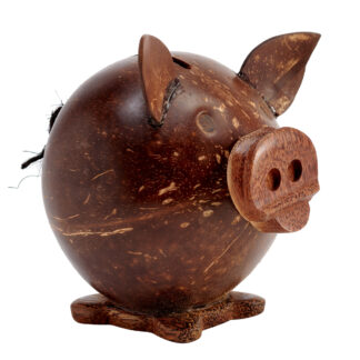 Coconut shell pig coinholder