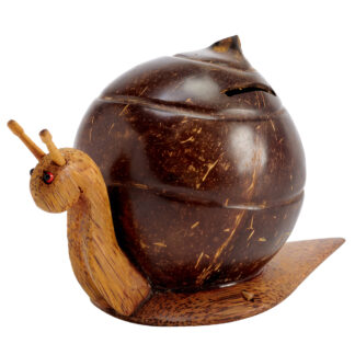 Coconut shell snail coinholder