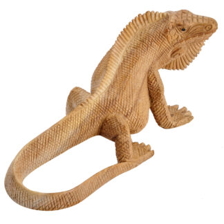 Natural wood iguana