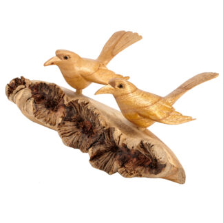 Family of two birds on parasite branch