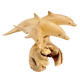 Triple jumping dolphins on parasite