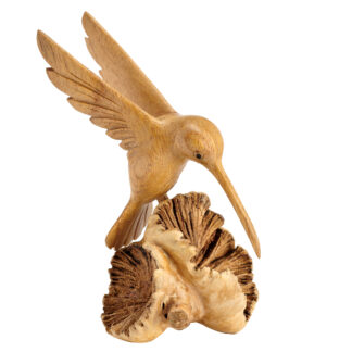 Hummingbird on parasite base