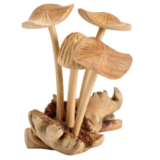 Four mushrooms -  grooved caps on parasite base