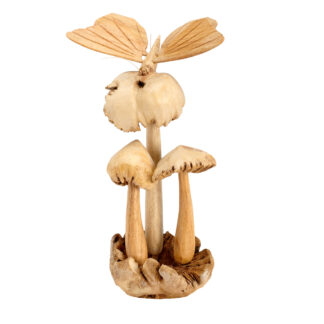 Three mushrooms -  butterfly on parasite base