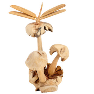 Three mushrooms & dragonfly on parasite base