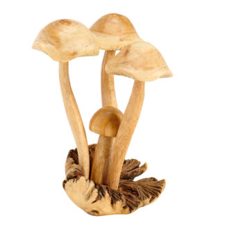 Four mushrooms with curly caps on parasite base