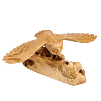 Flying owl on parasite