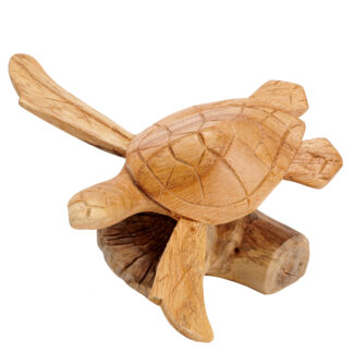 Turtle on parasite base (11cm)