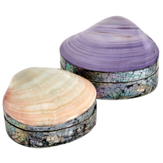 Shell jewellery box - small