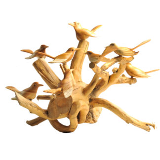 Birds on coffee root