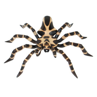 Painted tarantula - large