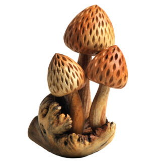 Three magic mushrooms on parasite base