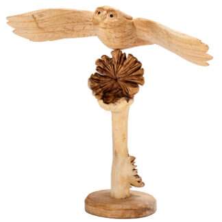 Flying owl on parasite tree