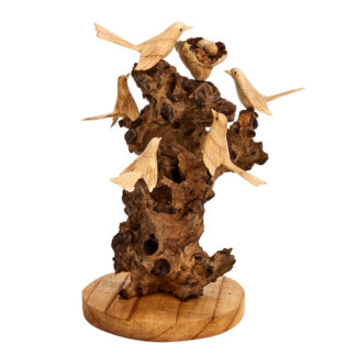 Five birds on tree root