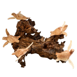 Five turtles on tree root