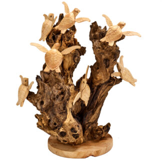 Seven turtles on tree root