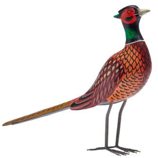 Pheasant
