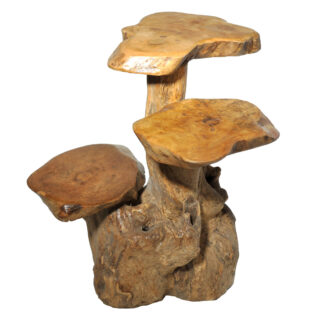 Teak root stand (50cm)
