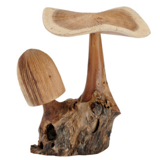 Wooden mushrooms on root base