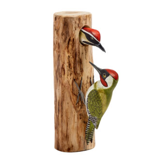 Double Green Woodpeckers on full driftwood