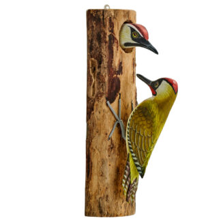 Double Green Woodpeckers on half driftwood