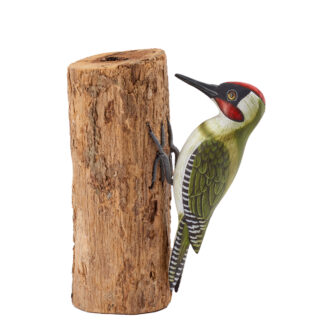 Green woodpecker on full driftwood