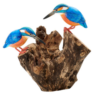 Double Kingfishers