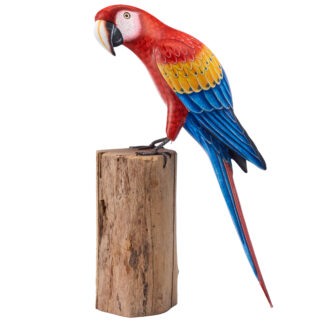 Macaw - large