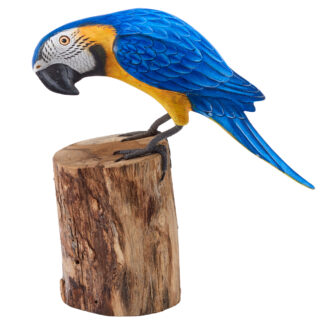 Macaw - small