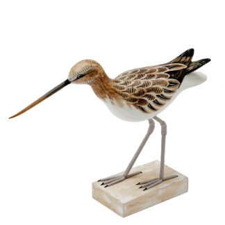 Sandpiper - walking