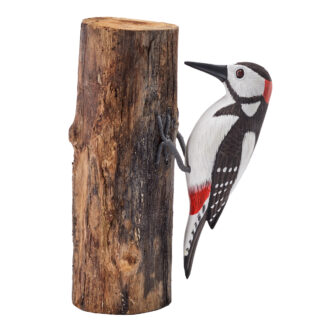 Spotted Woodpecker on full driftwood
