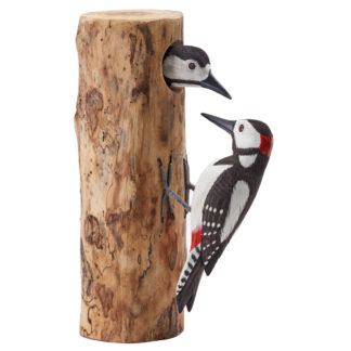 Double Spotted Woodpeckers on full driftwood