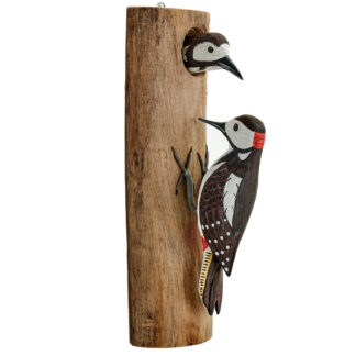 Double Spotted Woodpeckers on half driftwood