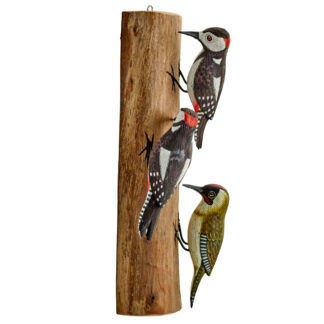 Green and Spotted Woodpeckers on driftwood