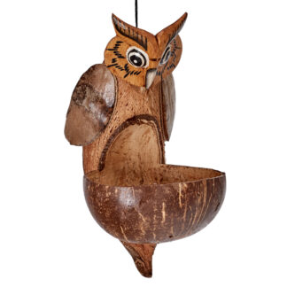 Owl bird feeder with black and white eyes