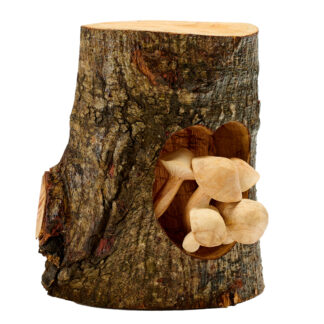 Natural wood mushrooms in tree